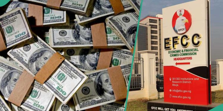 INTERPOL says thousands of dollars flown out of Nigeria daily by corrupt individuals