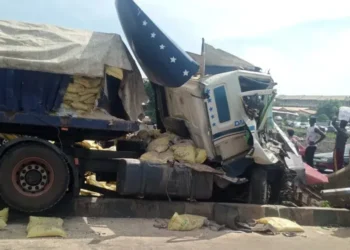Dangote truck crushes five dead, FRSC moves against fleet