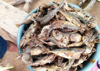 Nat’l Security arrests 3 for trading unwholesome fish