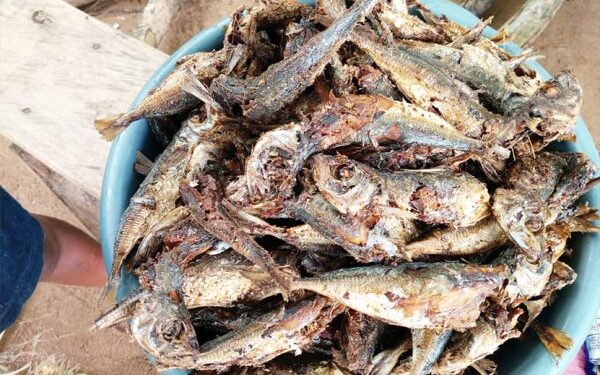 Nat’l Security arrests 3 for trading unwholesome fish