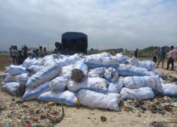 Judicial Service/Police destroy large quantities of drugs