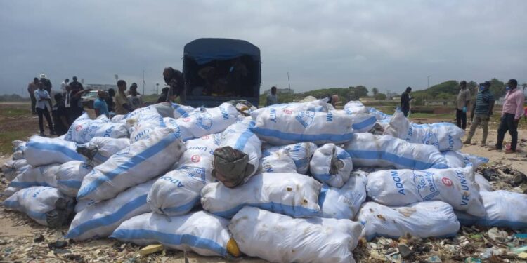 Judicial Service/Police destroy large quantities of drugs