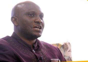 We won’t wait for the second coming of Jesus Christ, we will judge corrupt persons ourselves – Tax Analyst fires