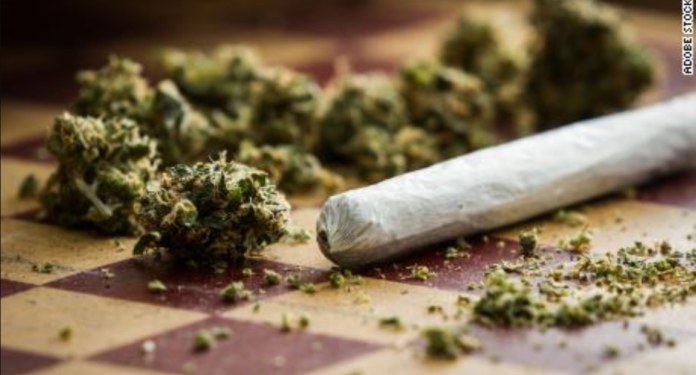 Court orders destruction of 256 sacks of cannabis