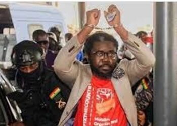 Democracy Hub demo: Police arrest convener Oliver Barker-Vormawor