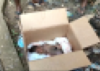 Mother abandons fresh baby girl at Shiashie