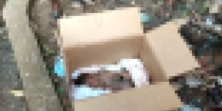 Mother abandons fresh baby girl at Shiashie