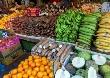 Heavy metals detected in Ghana’s food exports – US-based licensed Environmental Engineer