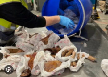 GRIDCo halts illegal excavation by Chinese nationals under high-voltage lines at Shiashie