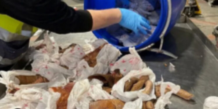 GRIDCo halts illegal excavation by Chinese nationals under high-voltage lines at Shiashie