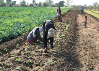 National Farmers’ Day scheduled for November 8