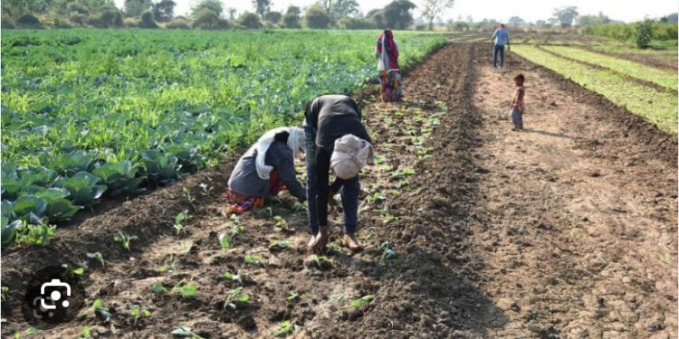 National Farmers’ Day scheduled for November 8