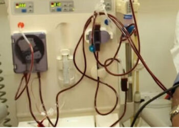 Kidney diseases are now as prevalent as malaria, with KBTH recording three cases daily – Association