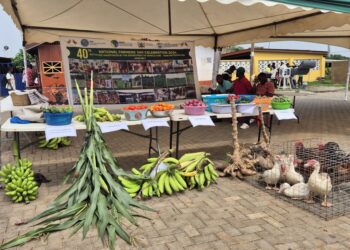 A 41-year-old named best farmer for Tema Metro
