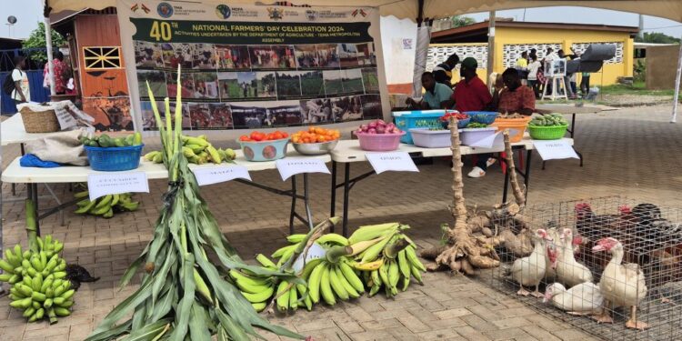 A 41-year-old named best farmer for Tema Metro