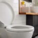 Don’t sit on the toilet for more than 10 minutes – Doctors warn