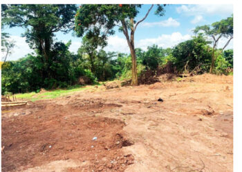 Yaase royal cemetery destroyed by illegal miners