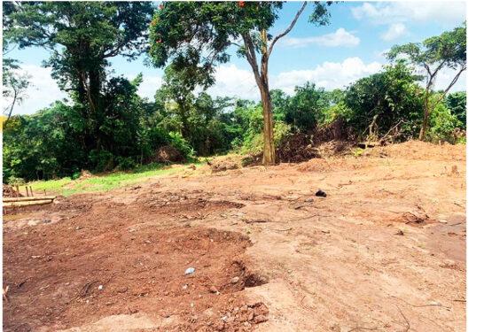 Yaase royal cemetery destroyed by illegal miners