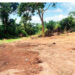 Yaase royal cemetery destroyed by illegal miners
