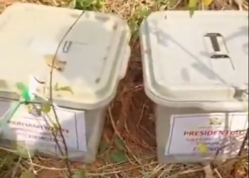 Farmer discovers ‘ballot boxes’ in a bush