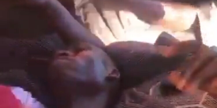 Election 2024: Gory scenes as four arrested over shooting incident at Nyankpala