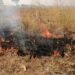 Unidentified arsonists destroy Savannah Regional Minister’s crop in shocking blaze