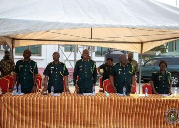 Akufo-Addo elevates five Deputy Immigration Commissioners