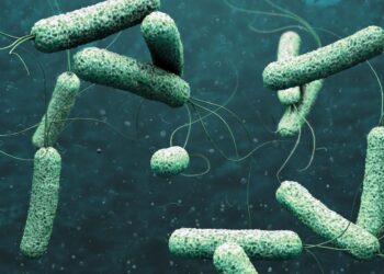 Expert advises warm, nourishing meals as part of cholera prevention