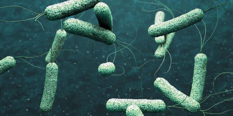 Expert advises warm, nourishing meals as part of cholera prevention