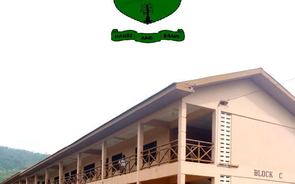 GES interdict Tsito SECTECH headmaster, staff over Free SHS tomato diversion