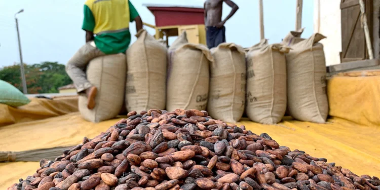 Police arrest three people in connection with alleged smuggling of cocoa beans