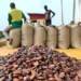 Police arrest three people in connection with alleged smuggling of cocoa beans