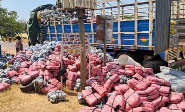 Two Burkinabes arrested in Kintampo over alleged smuggling of cocoa beans