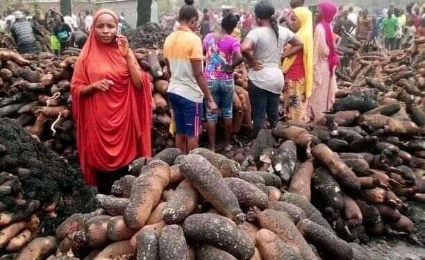 Farmer’s livelihood goes up in flames: thousands of tubers destroyed
