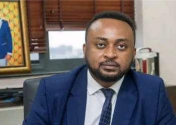 Wicked CEOs caused NPP’s defeat in 2024 elections – Ekow Assafuah