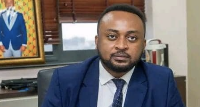 Wicked CEOs caused NPP’s defeat in 2024 elections – Ekow Assafuah