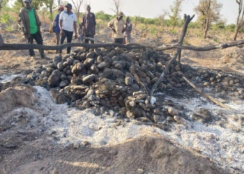 Fire guts 40 yam barns at Blajai in the Kpandai District