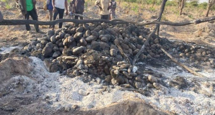 Fire guts 40 yam barns at Blajai in the Kpandai District