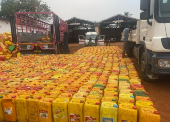 Immigration intercepts 1115 gallons of cocoa beans