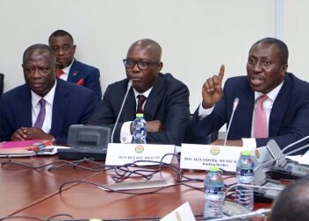 Vetting of Srem-Sai abruptly ends amid heated exchange over dance request