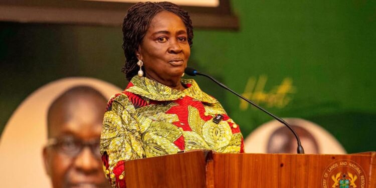 Vice President urges MPs to support efforts of gov’t in dealing with galamsey