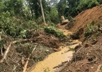Illegal Chinese miners storm Jimira Forest Reserve with over 60 excavators