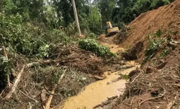 Illegal Chinese miners storm Jimira Forest Reserve with over 60 excavators