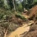 Illegal Chinese miners storm Jimira Forest Reserve with over 60  excavators