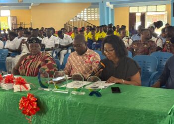Amend Constitution to Boost Anti-Corruption Fight – CEO, FreeMinds Communication Ltd