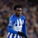 Tariq Lamptey Signs Contract Extension With Brighton