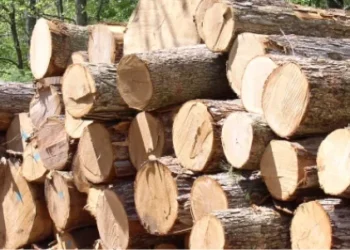Timber Contractors Call For Urgent Overhaul Of Forestry Commission