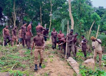 Sunyani Central Prison Undertakes Large-Scale Farming To Boost Inmate Welfare