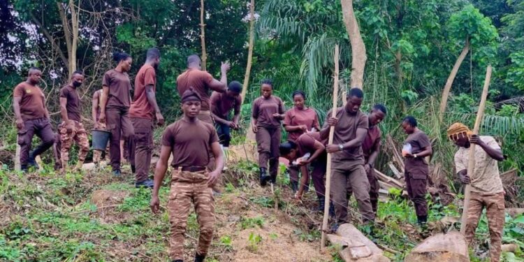Sunyani Central Prison Undertakes Large-Scale Farming To Boost Inmate Welfare