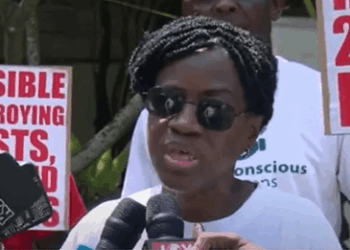 Galamsey: Is the President Justifying Killing Because They Have No Livelihoods? – Awula Serwah